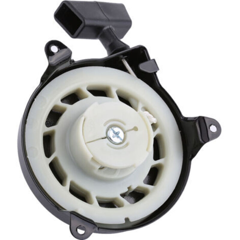 Briggs & Stratton Thermikmotor – Langlebiges Abs-material – Wirksame Garantie – Einfache Installation Ohne Werkzeug