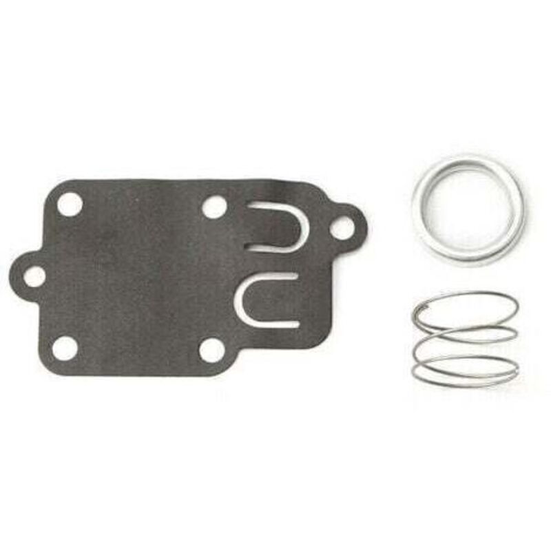 Membranvergaser Briggs Et Stratton