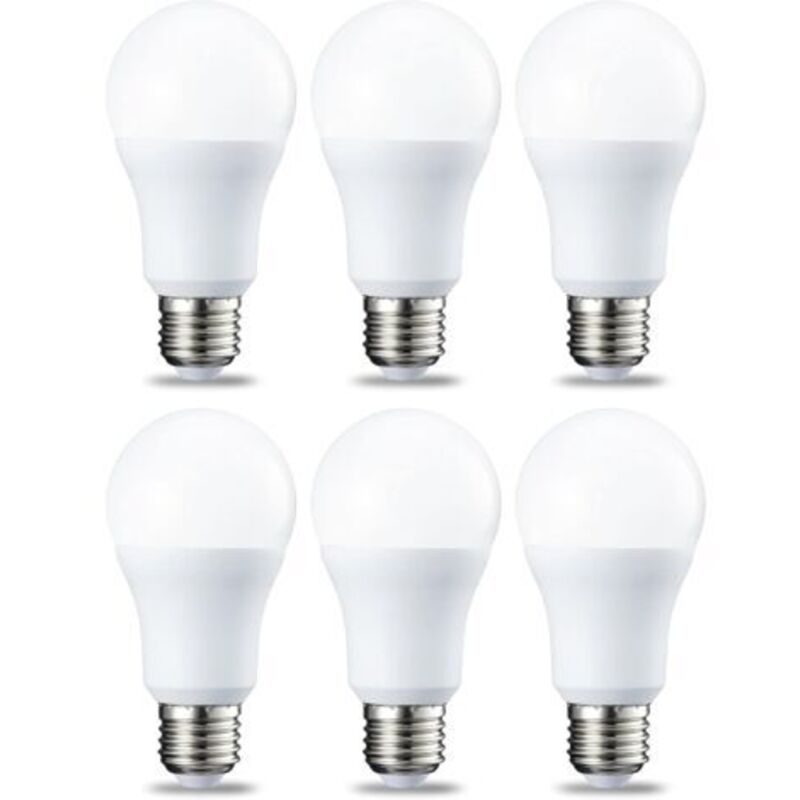 Pr Lot Von 6 Ampullen Led Culot Edison À Vis E27 10 W Weiß Kalt Intensität Nicht Variabel