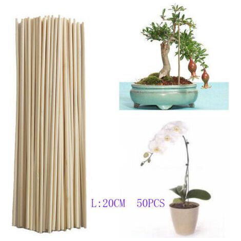 Ahlsen Bambusstab, Pflanzenwachstums-stützstange, Kleiner Bonsai-rankenzweig, Diy-gartenwerkzeug, 3 Mm, 20 Cm, 50 Stück