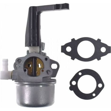 Ersatzvergaser Und Dichtungssatz Für Briggs & Stratton 696065, Vergaser