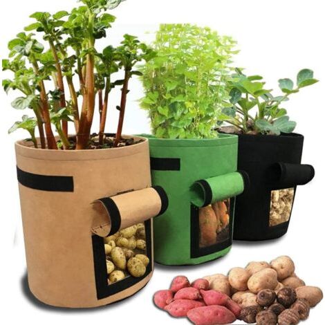 Gartentasche Für Pflanzen Und Gemüse 30 X 30 X 35 Cm – Korrosionsbeständiger, Gewebter Weihnachtsstoff – Atmungsaktives Fenster – 1 Pflanztasche – 20,3 Cm