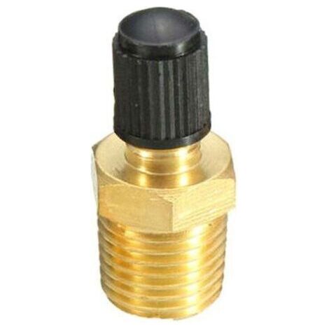 1/4 Zoll Npt-tankventil, Korrosionsbeständiges Messing-schrader-ventil Mit 1/4 Zoll Npt-außengewinde