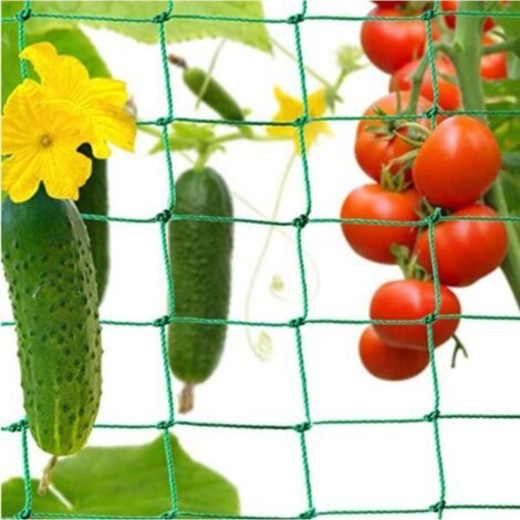 Ranknetz Kletterpflanzen Und Parks Netzwerk Für Gurken, Tomaten Und Andere Vogelschutznetz Gemüsebögen Netzwerk Für Kletterpflanzen