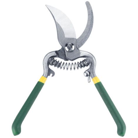 Professionelle Gartenschere Zum Beschneiden Von Obstbäumen. Präzise Und Ergonomisch. Ideal Für Die Obstgartenpflege. Hervorragende Qualität