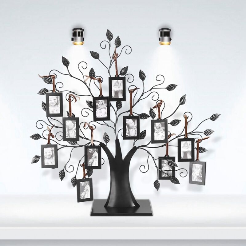 Eleganter Familien-fotobaum Mit Hängenden Rahmen, Heimdekoration M