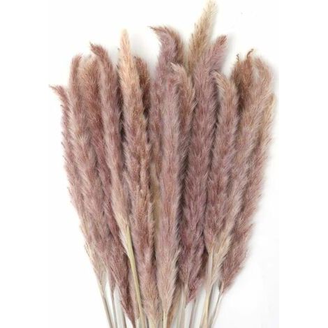30 Stück Pampasgras, 45 Cm, Natürlicher Pampasblumenstrauß Aus Getrockneten Blumen Für Vasen, Boho-dekoration, Schlafzimmer, Zuhause, Wohnzimmer, Hochzeit, Fotografieren, Tischdekoration