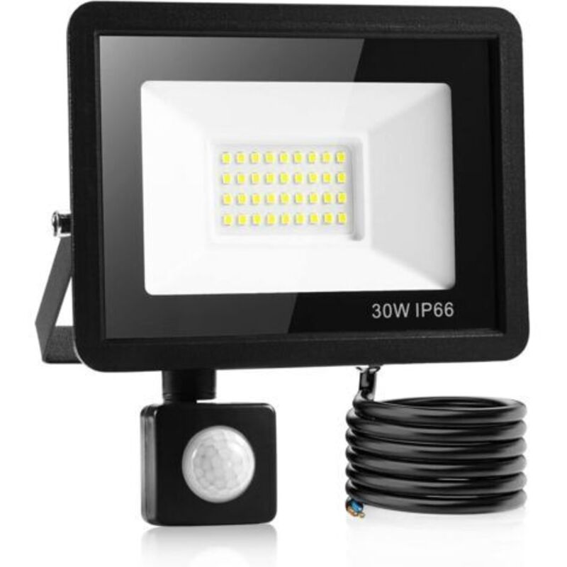 30w Led-projektor-außenerkennung, Wasserdichte Ip66-leuchte, Außenerkennung, Weißes Licht, Verwendung In Garagen, Gärten, Devant-gärten Usw. [klasse É