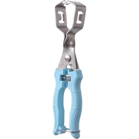 Casse-châtaignes Et Casse-noix En Acier Inoxidable - Casse-noix Multifonctionnel Pour Casse-taignes Et Autres Noix.