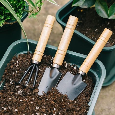 Generisches Set Aus 3 Gartengeräten – Petite Pelle De Jardin, Mini-râteau, Truelle – Marron Clair, Edelstahl Und Kader In Eisen – Kompakt Und Einfach Zu Manipulieren – Jardin
