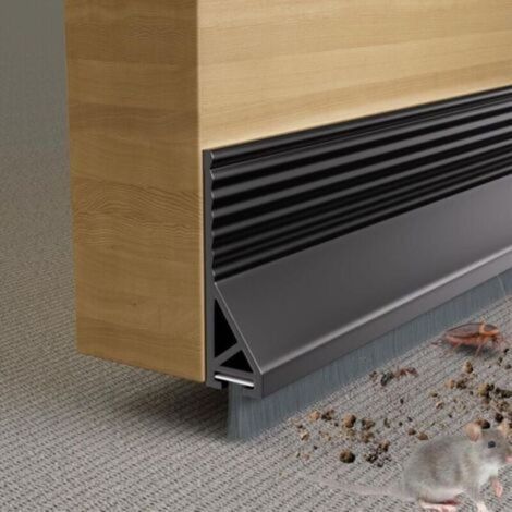 Türdichtung Mit Bürste Für Außen- Und Innentürschwellen, Schalldämmend, Wind- Und Staubdicht (100 Cm, Schwarz)