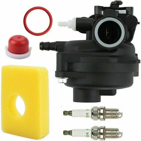 Vergaser 595656 591979 799583 593261 591160 Für Motoren Der Serien Briggs & Stratton 300e, 450e Und 500e