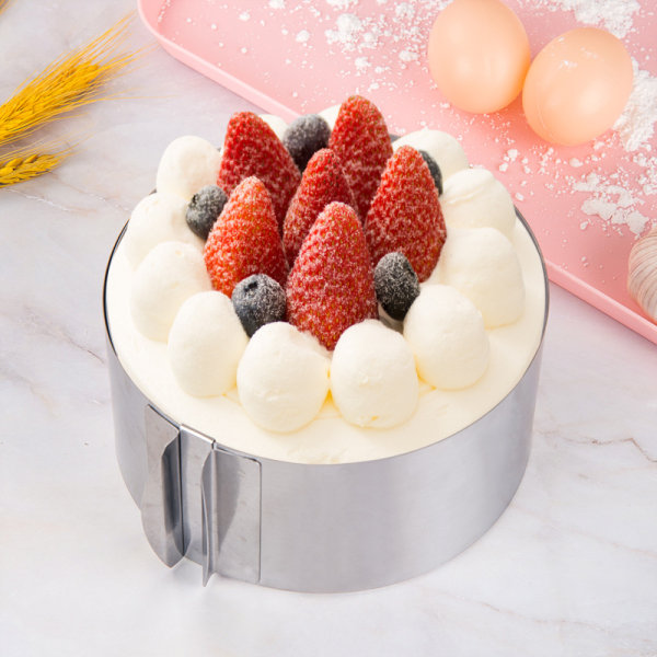 Verstellbarer Tortenring, 20 Cm Hoch – Verstellbarer Gebäckring Aus Edelstahl – Hohe Backform