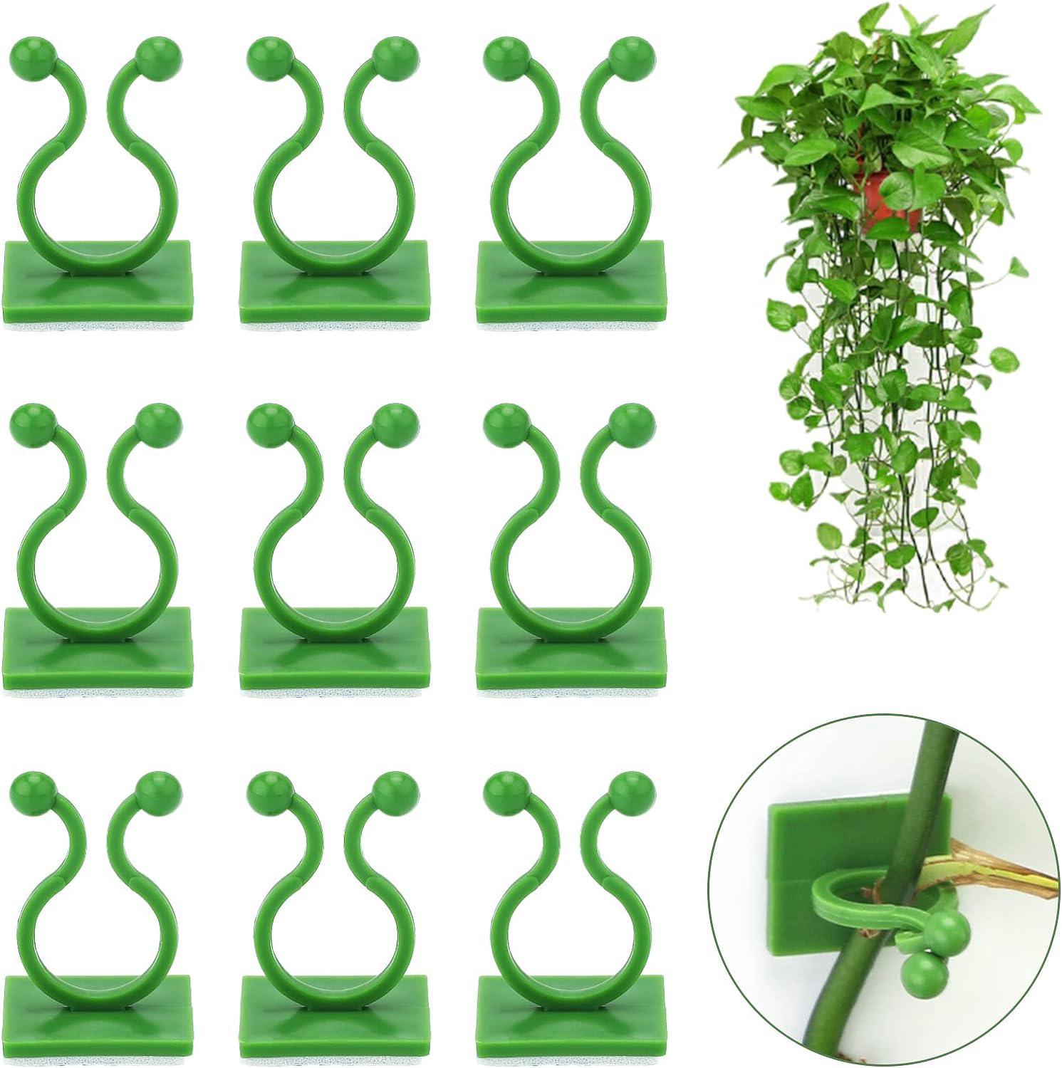 100 Pflanzenclips Für Kletterpflanzen, Unsichtbare Klebe-wandhalterungen Für Ranken, Selbstklebende Haken Für Zimmerpflanzenstützen