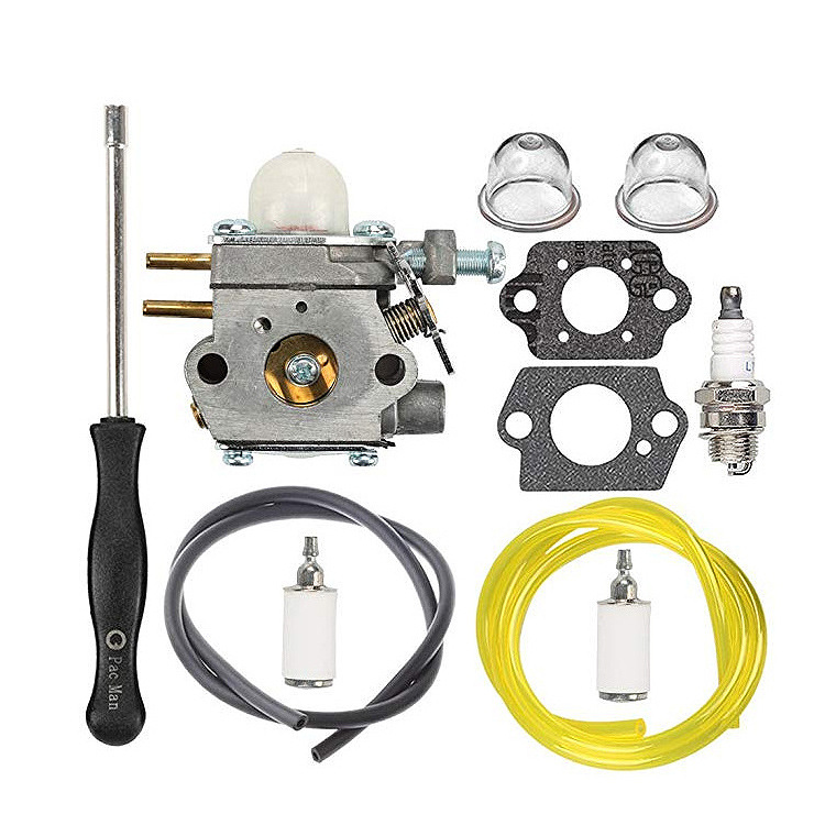 Ersatzvergaser Für Rasenmäher Wt-973 Rm2560 Rm2570 Rm2750 M2500