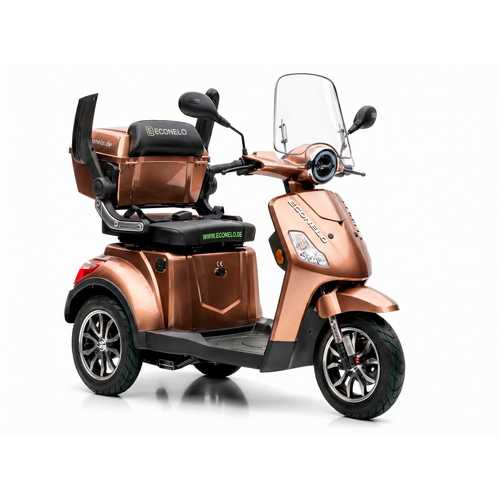 E-Roller »P1000«, 25 km/h, BxHxT: 67 x 110 x 162 cm, braun
