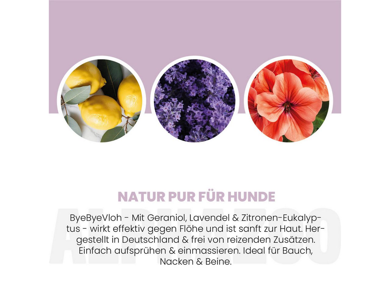 ALPHAZOO Insektenspray ByeByeVloh Flohspray Hunde 100ml, 100 ml, 1-St., Flohmittel gegen Flöhe & Juckreiz, Anti Flohspray gegen lästige Flöhe beim Hund Bild 2