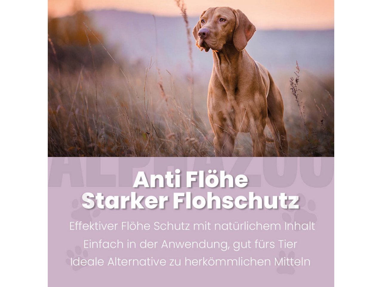 ALPHAZOO Insektenspray ByeByeVloh Flohspray Hunde 100ml, 100 ml, 1-St., Flohmittel gegen Flöhe & Juckreiz, Anti Flohspray gegen lästige Flöhe beim Hund Bild 3