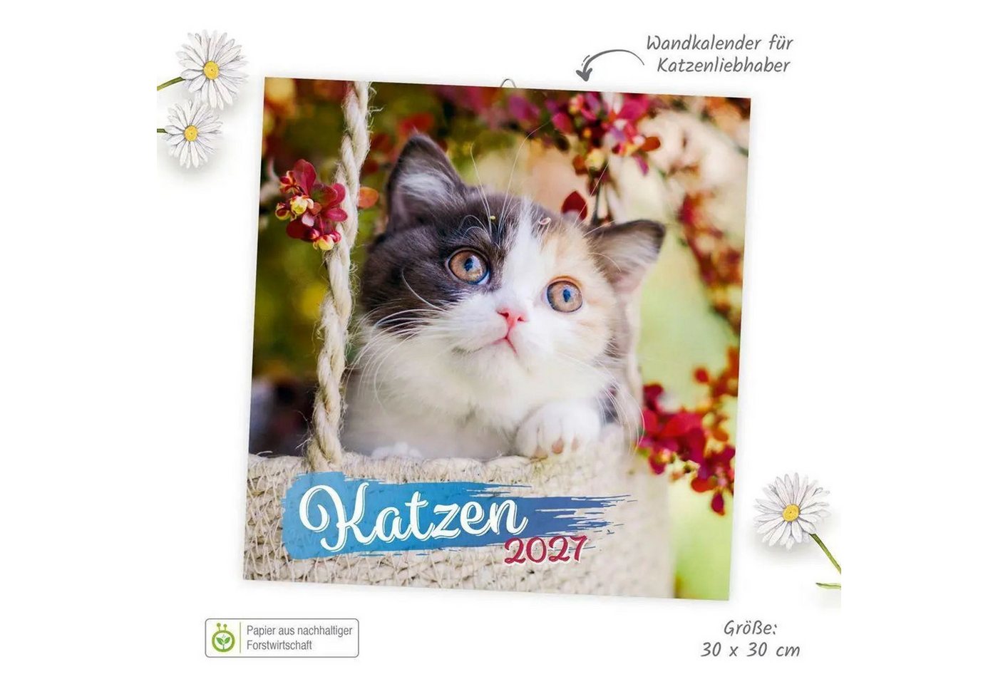 Trötsch Verlag Wandkalender TRÖTSCH - Broschürenkalender Katzen 2027