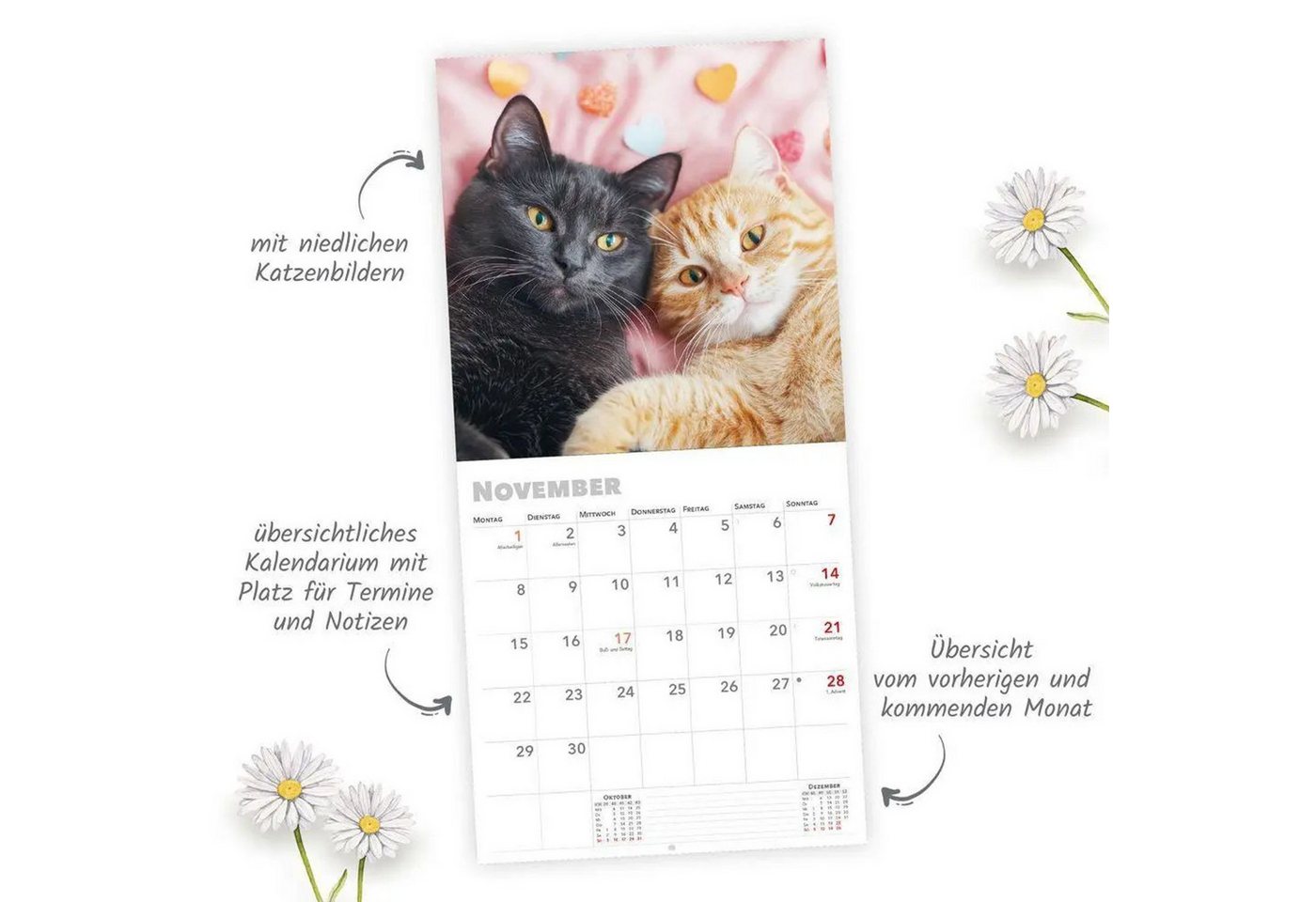 Trötsch Verlag Wandkalender TRÖTSCH - Broschürenkalender Katzen 2027 Bild 2