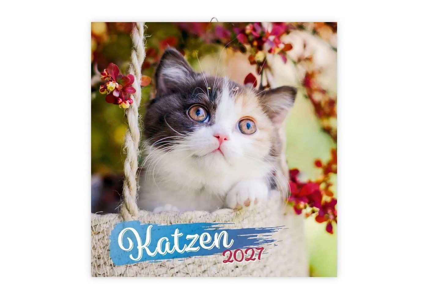 Trötsch Verlag Wandkalender TRÖTSCH - Broschürenkalender Katzen 2027 Bild 3