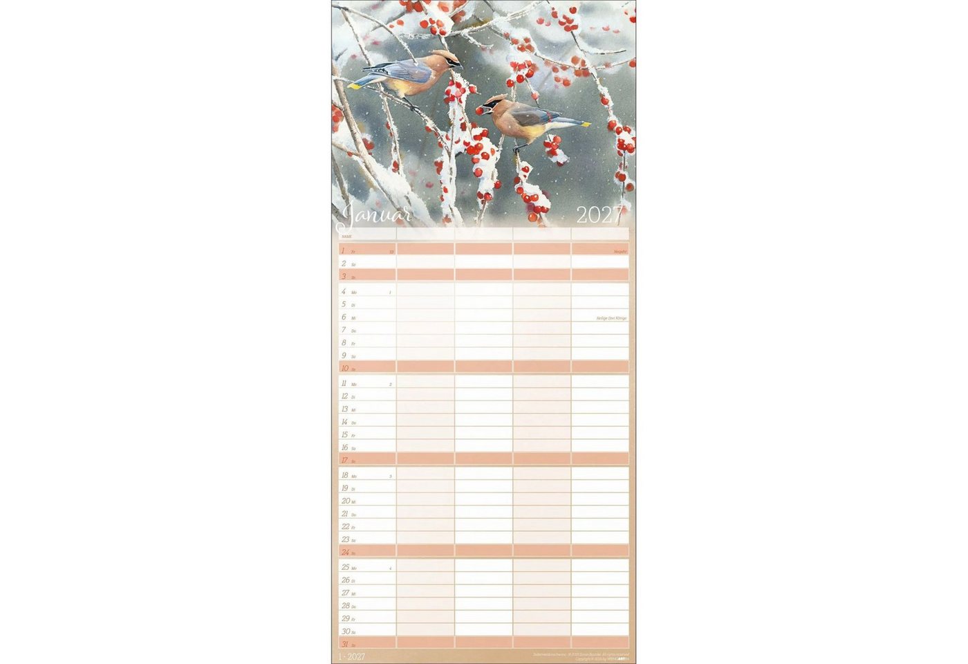 Wandkalender Bunte Vogelwelt Familienplaner 2027 Bild 4
