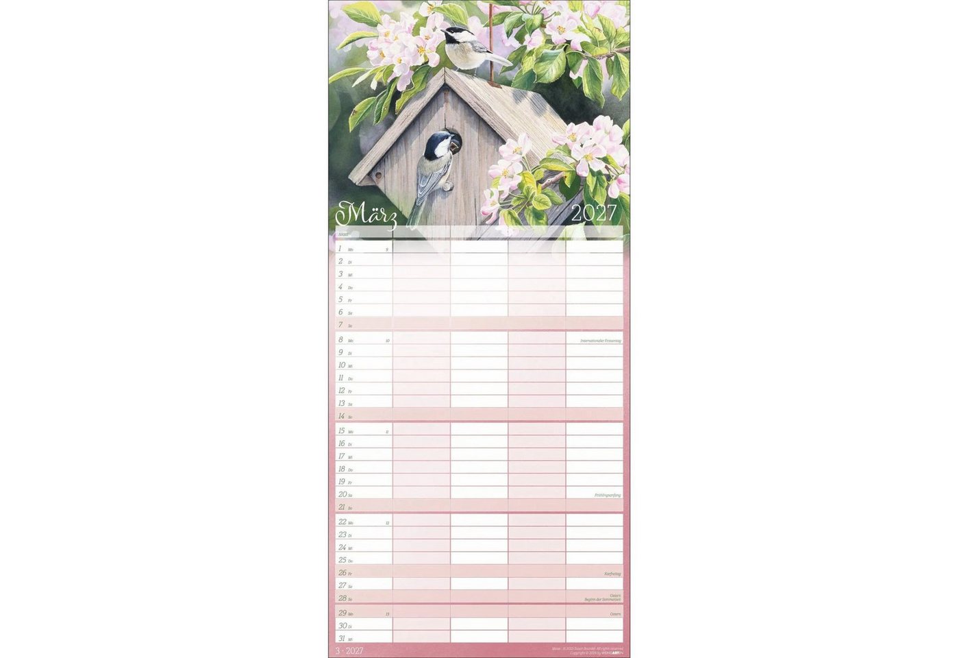 Wandkalender Bunte Vogelwelt Familienplaner 2027 Bild 5