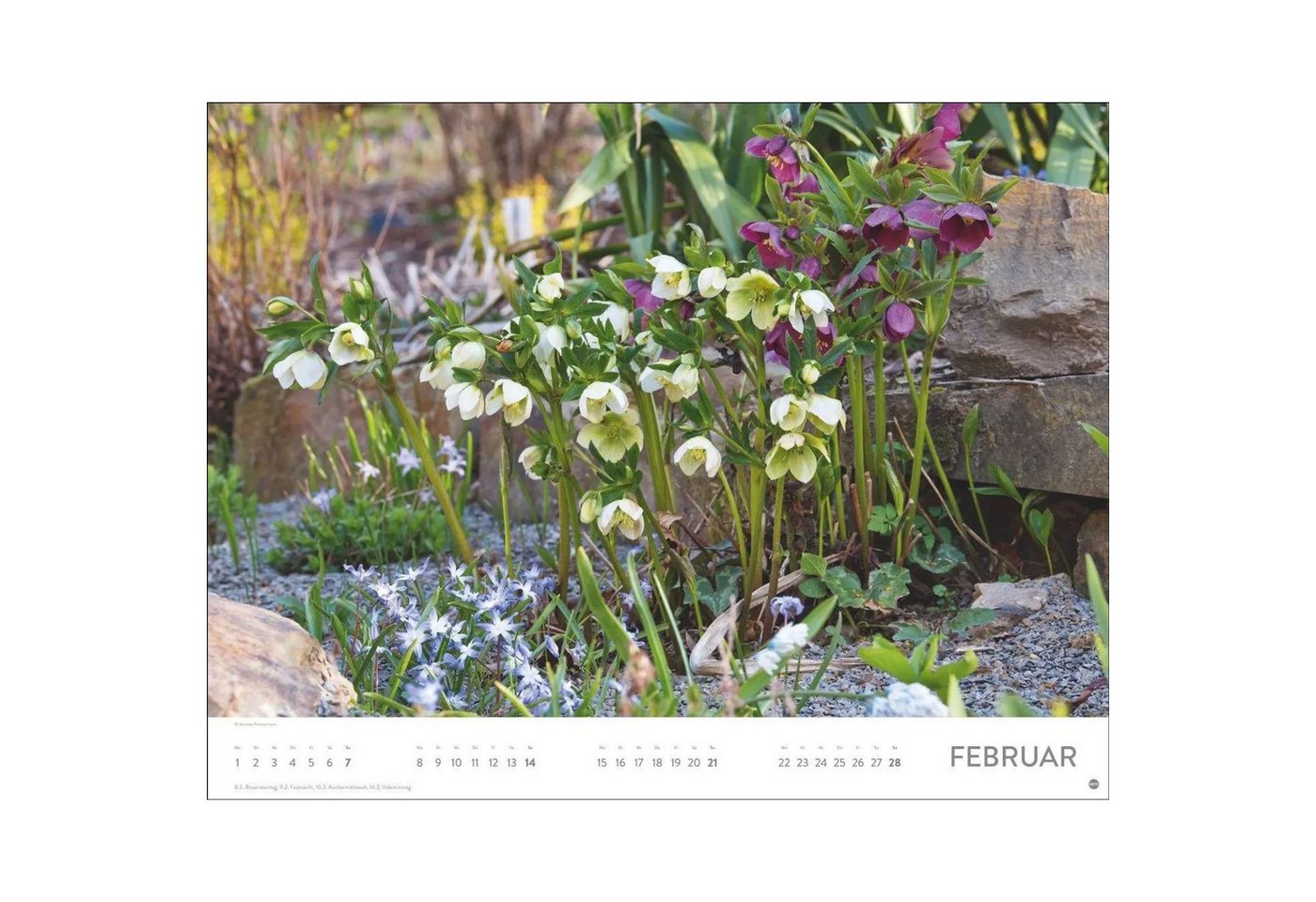 HEYE Wandkalender Gartenparadies Posterkalender 2027 Bild 2