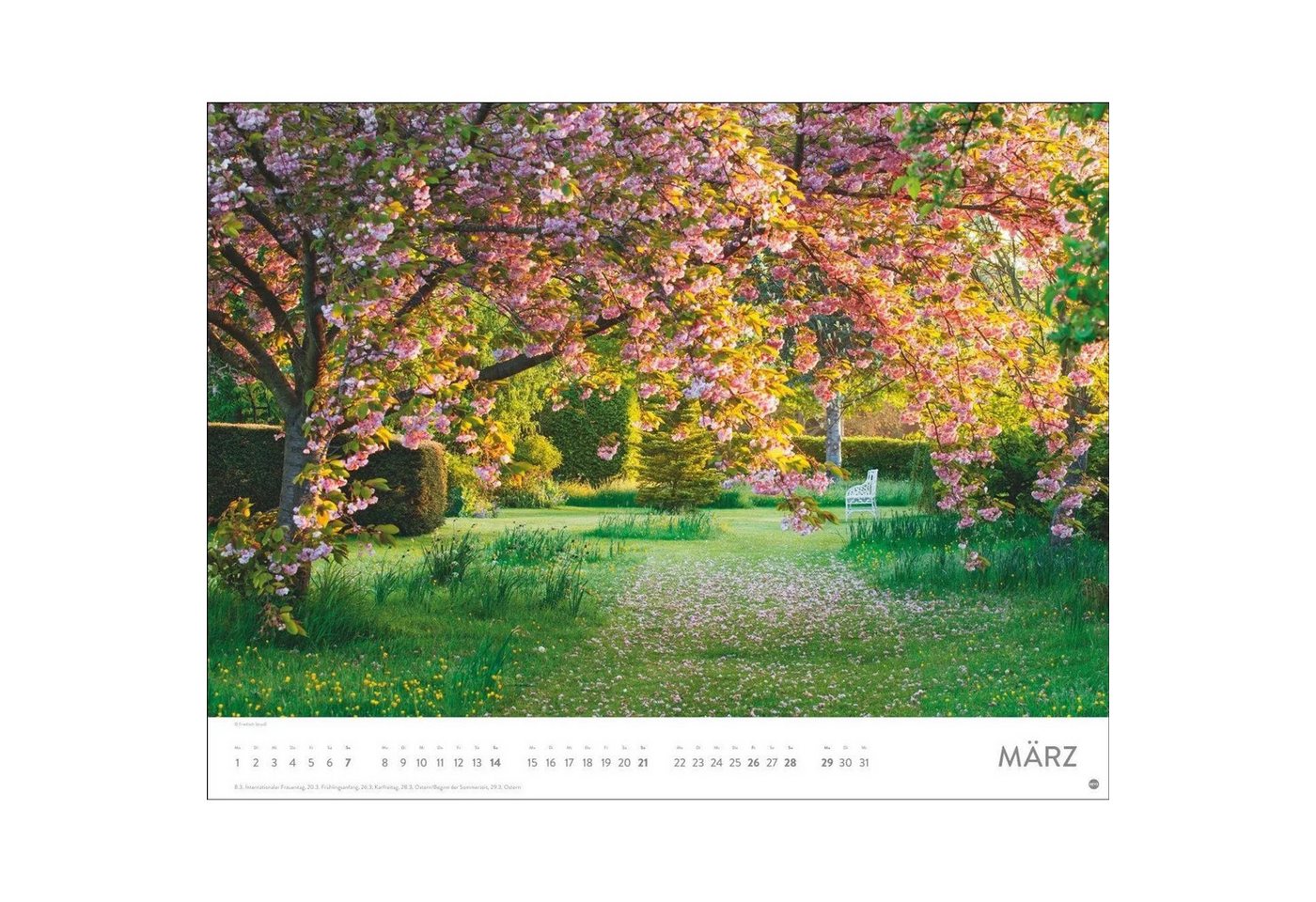HEYE Wandkalender Gartenparadies Posterkalender 2027 Bild 4