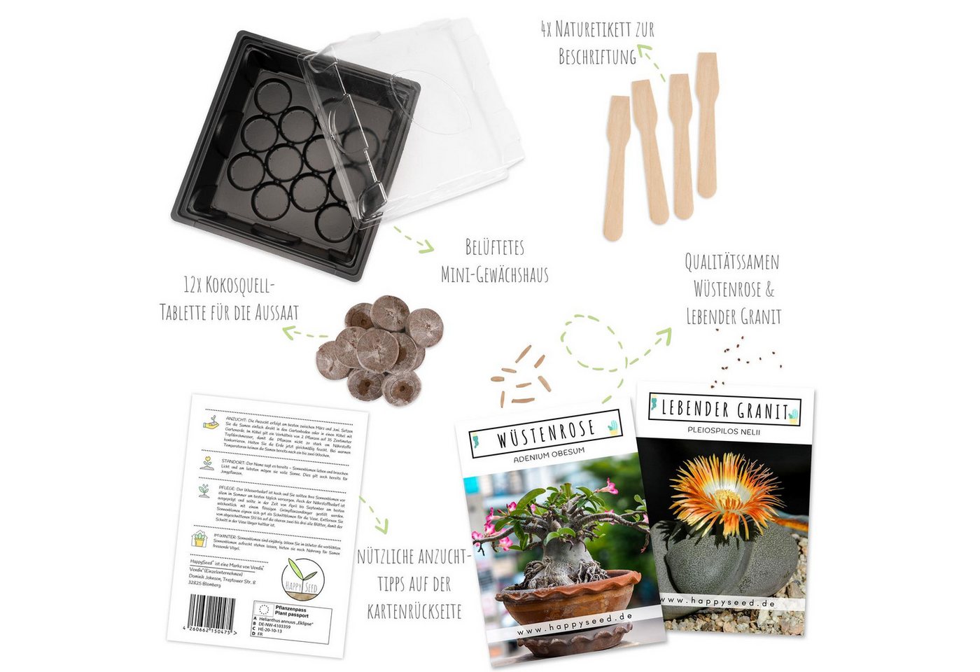 HappySeed Blumensamen Kakteen Starter Kit - Gewächshaus & Samen (Wüstenrose + Leb. Granit), Kakteen