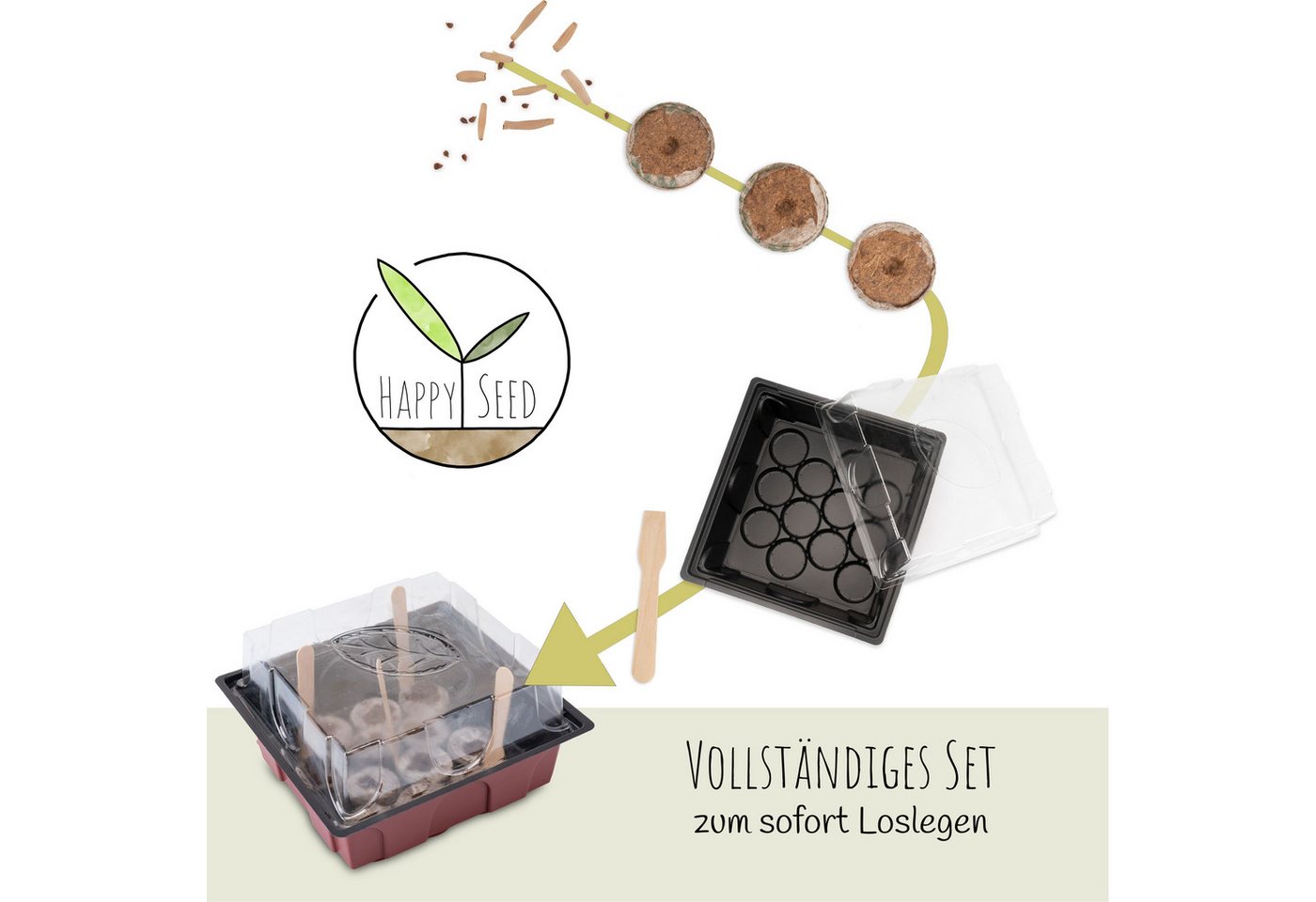 HappySeed Blumensamen Kakteen Starter Kit - Gewächshaus & Samen (Wüstenrose + Leb. Granit), Kakteen Bild 2