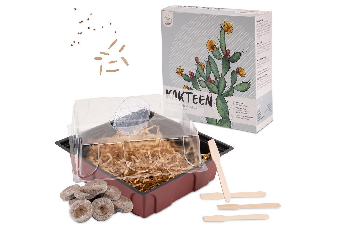 HappySeed Blumensamen Kakteen Starter Kit - Gewächshaus & Samen (Wüstenrose + Leb. Granit), Kakteen Bild 5