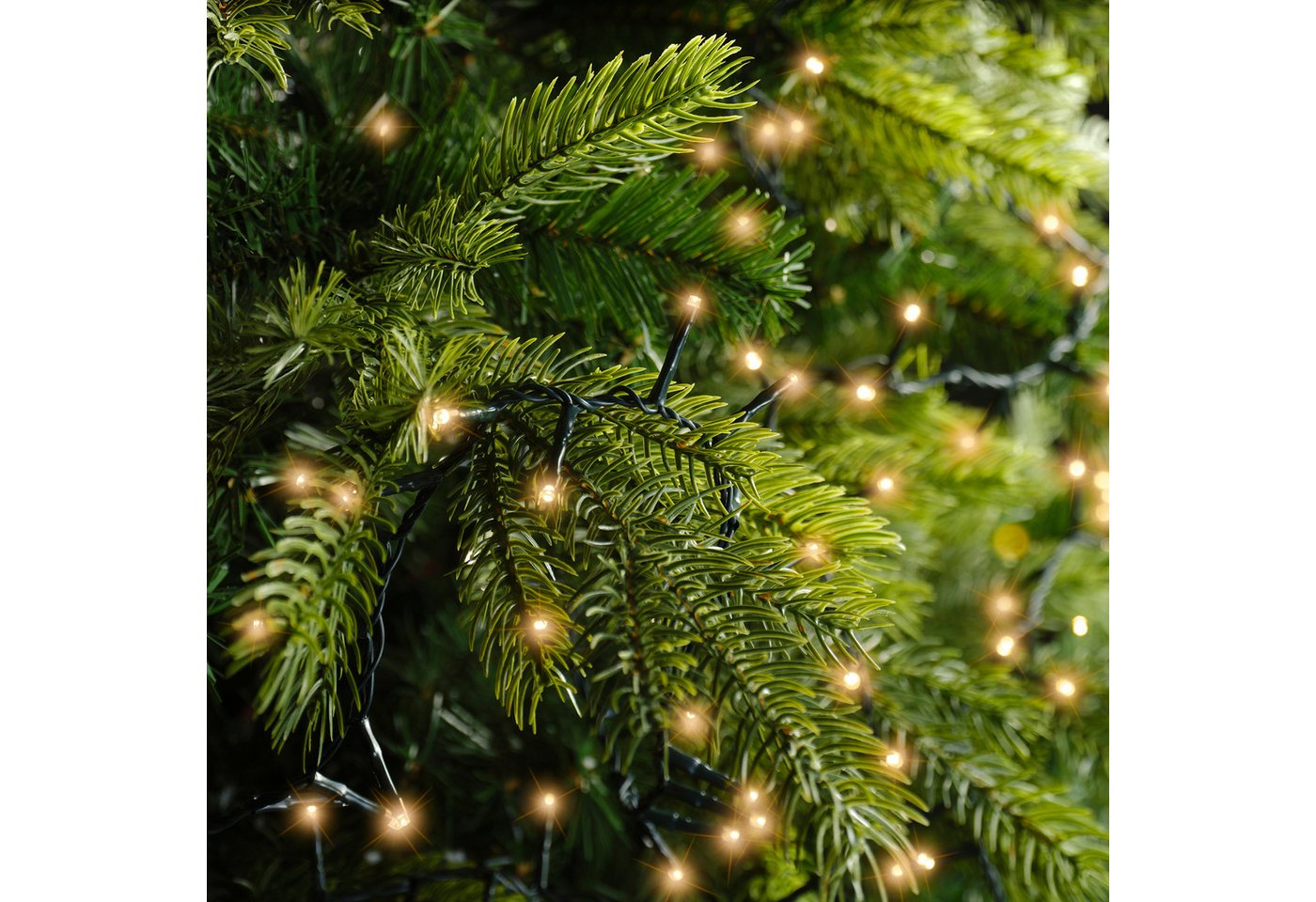 Lumineo LED-Lichterkette Lumineo Lichterkette COMPACT 350 LED 7,5m klassisch warm, grünes Kabel, Dimmbar, 8h-Timer, Indoor/Outdoor, + 5 m Zuleitung Bild 3