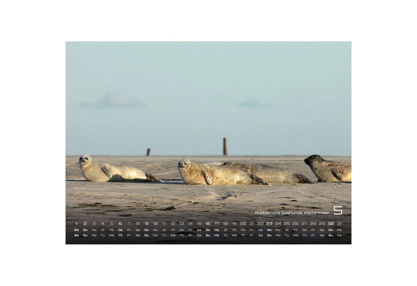 Wandkalender Nordsee - Küstenzauber - 2027 - Kalender DIN A3 Bild 3