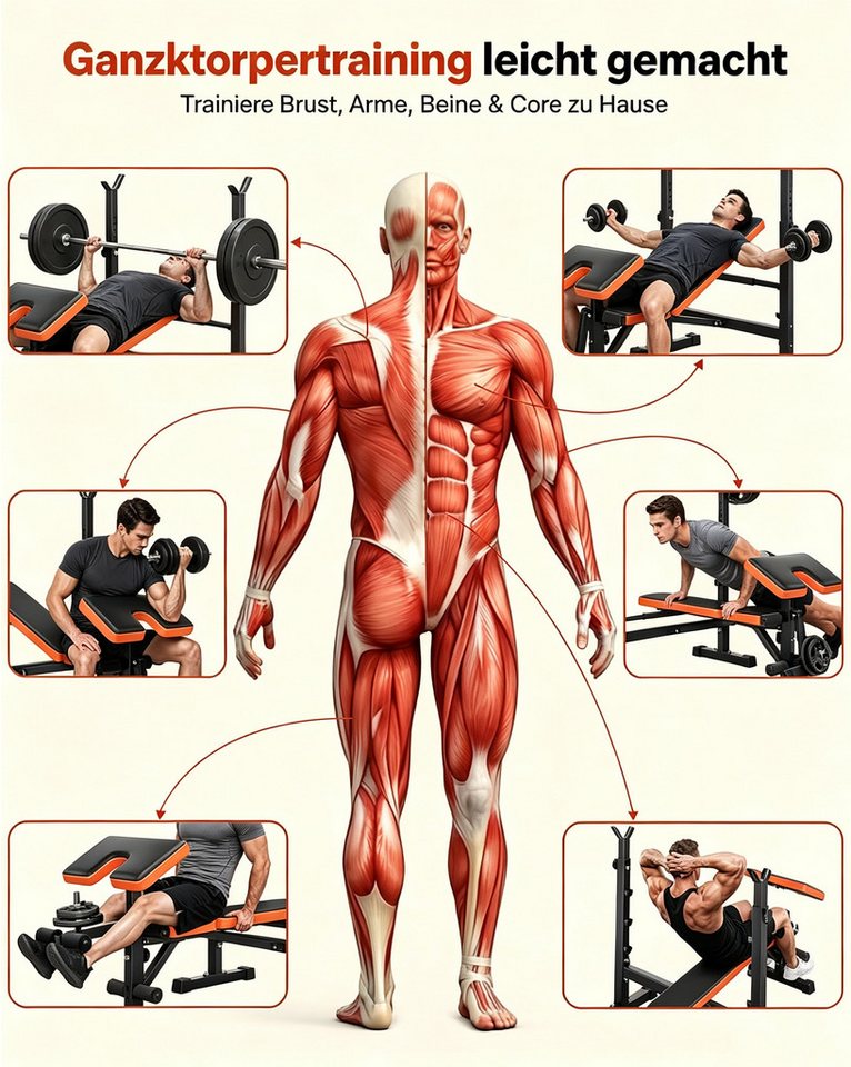 Dripex Half Rack Hantelbank klappbar, verstellbare Fitnessbank mit Langhantelablage Bild 2