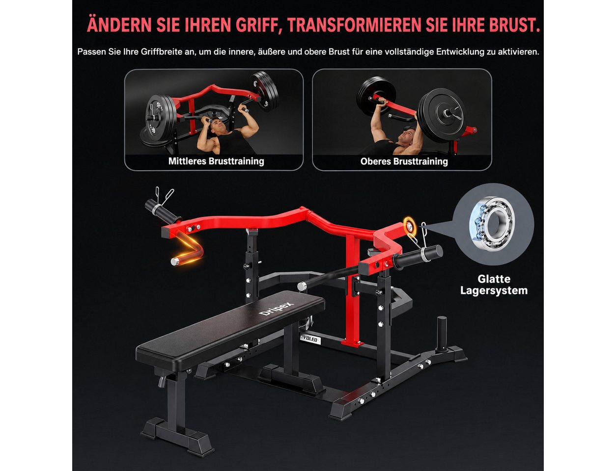 Dripex Half Rack Brustpresse, Bankdrücken-Station mit unabhängigen Pressarmen, Bankdrücken-Station mit unabhängigen Pressarmen Bild 3