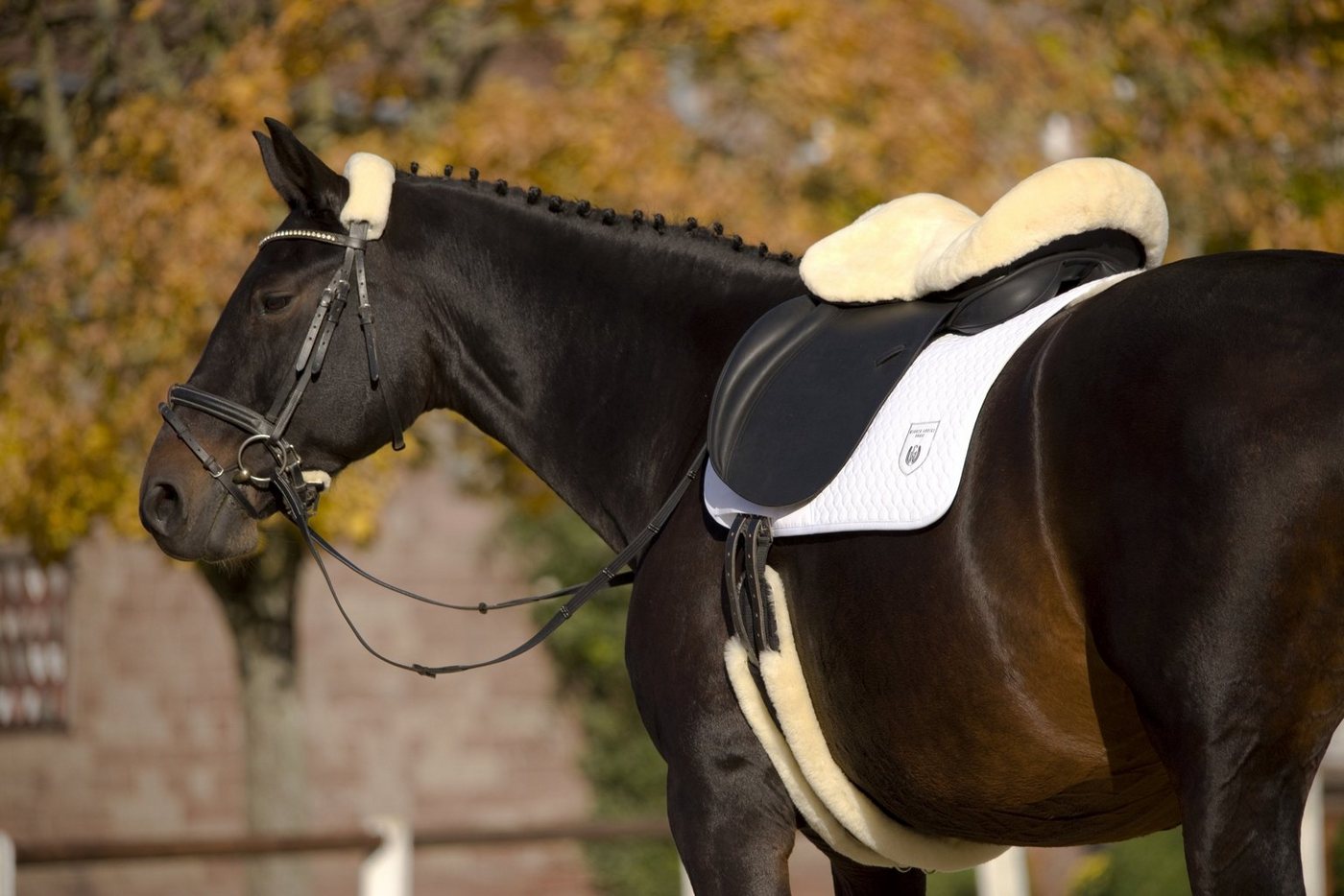 Werner Christ Horse Sattelbezug Sattelsitzbezug Englisch, aus echtem Lammfell Bild 5