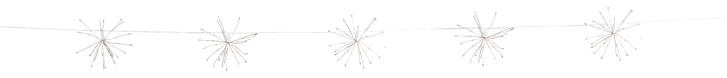 LIVARNO® Lichterkette »Dandelion« (warmweiß)