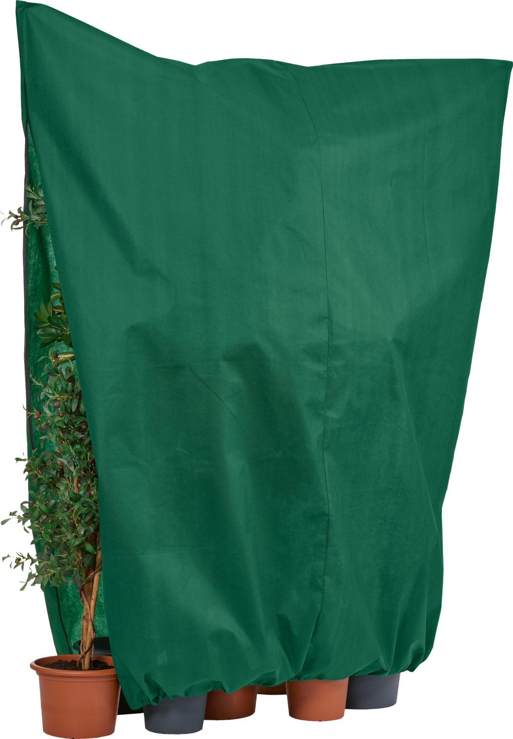 PARKSIDE® Pflanzenschutz-Vlieshaube, L (3 Stück), XL (2 Stück), XXL (1Stück) (Grün) Bild 2