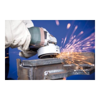 Schleiftopf ett sg steelox 110/55 mm ( 4000843243 ) - Pferd