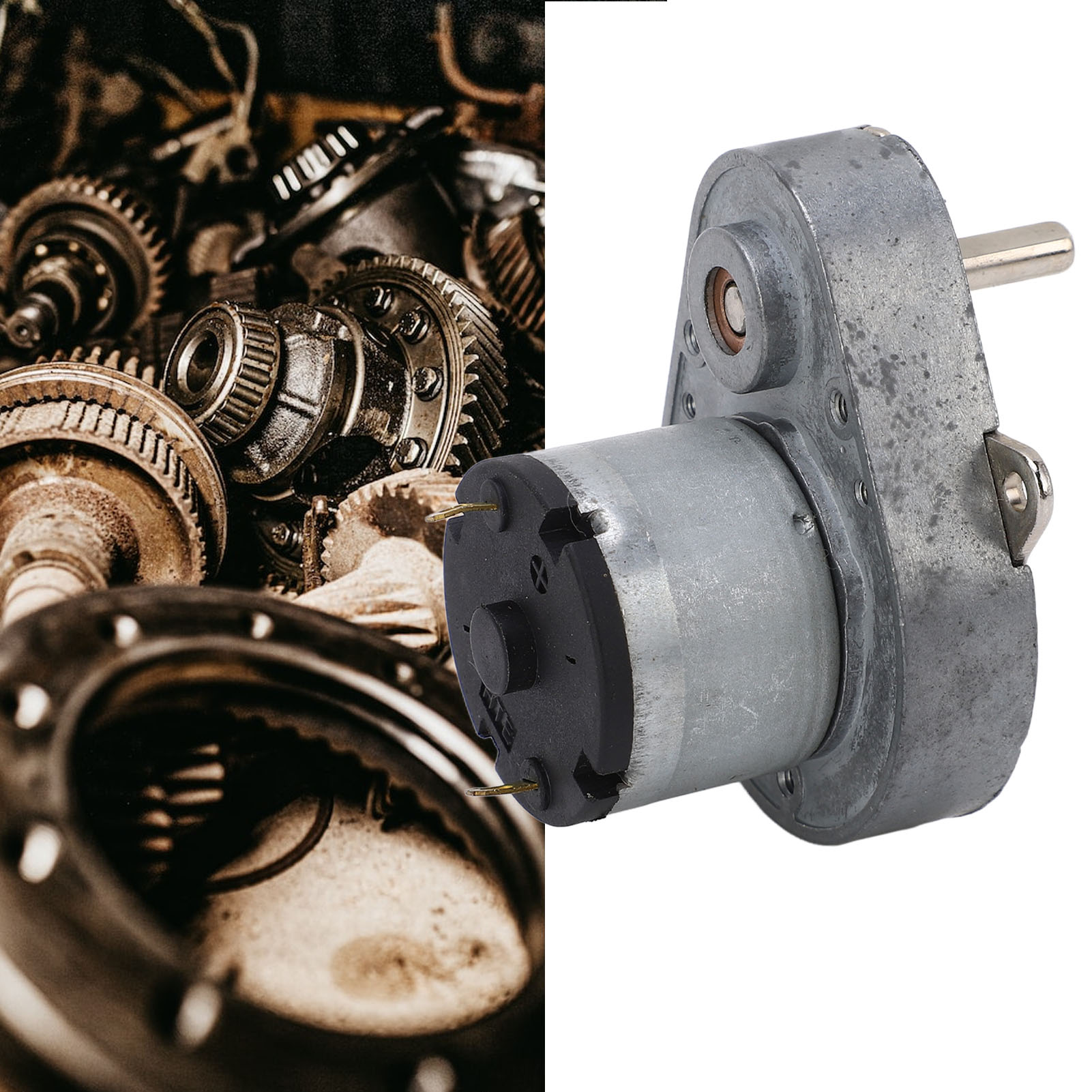 48e520 Birnenförmiger Exzenterwellen-getriebemotor, 12 V Dc, 25 U/min