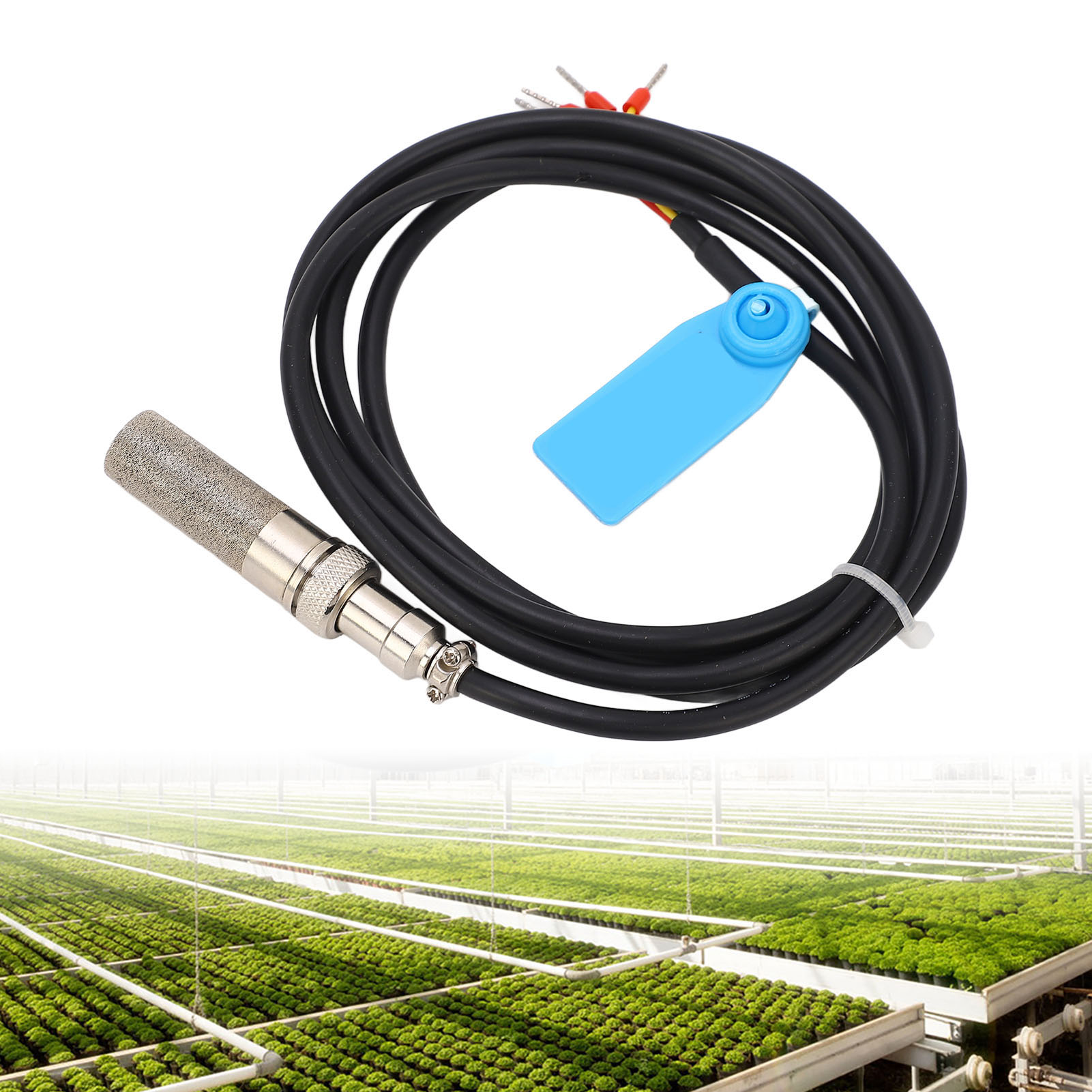 Digitale Bodentemperatur- Und Feuchtigkeitssonde Fs200-sht41: Hohe Genauigkeit, Geringer Stromverbrauch, 3,3 V Dc I2c-ausgang