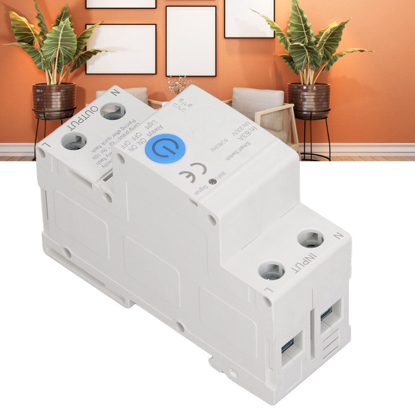 Zigbee Smart-leistungsschalter Ac230v 2p/63a (fernsteuerung Per Mobiltelefon Für Den Einsatz In Einem Vernetzten Zuhause)