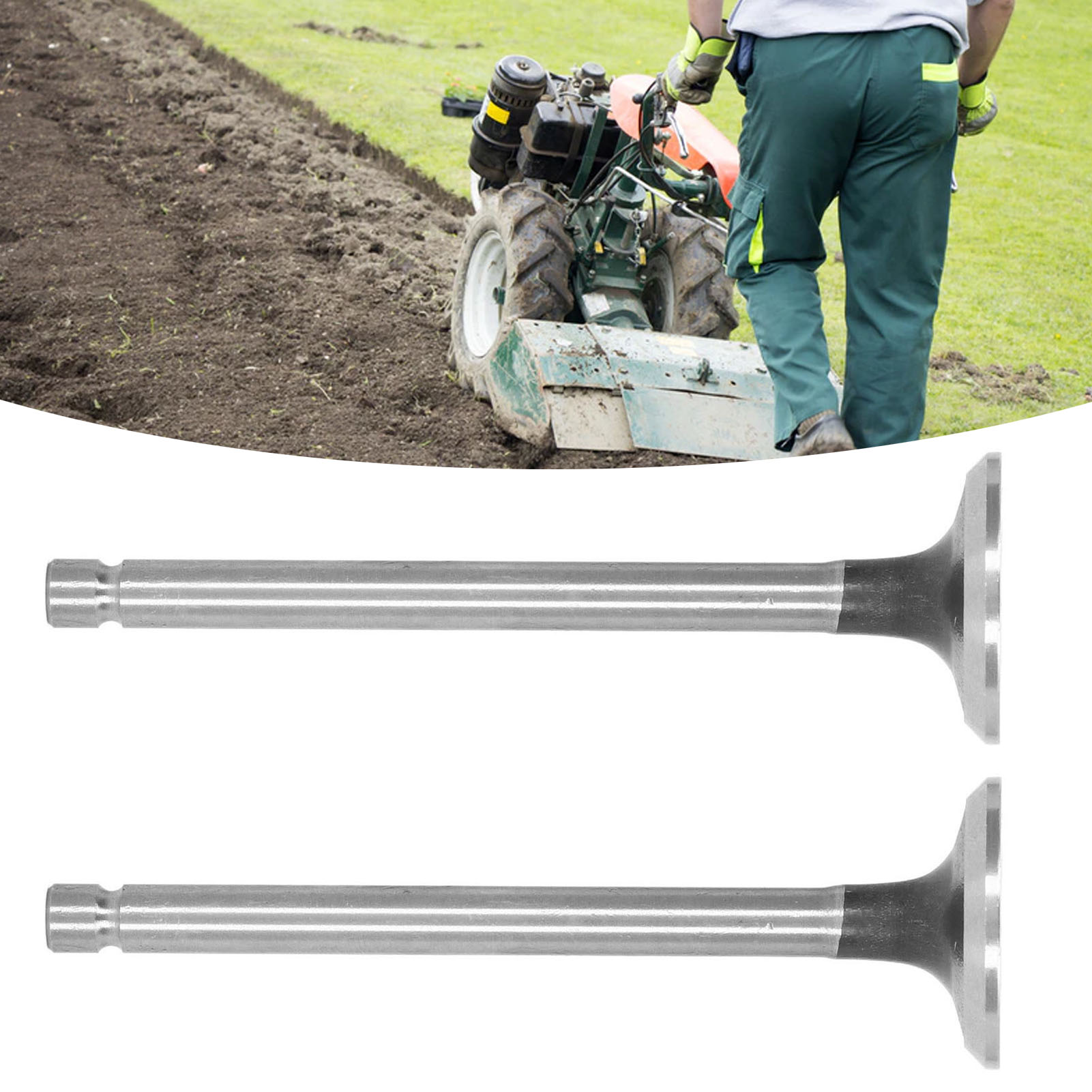 Teile Für Luftgekühlte Dieselmotoren-stromgeneratoren 186f/fa Mini-fräse Wasserpumpenventilschaft Ventil Einlass- Und Auslassventile Gartenmaschine