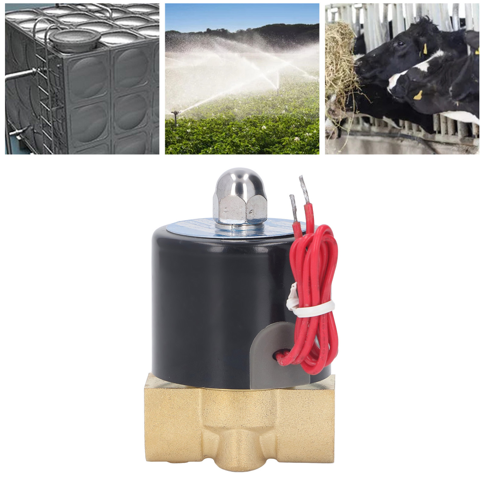 Steuerkomponenten 2w040-10/ac220v: Zweiwege-magnetventil Aus Messing, Normalerweise Geschlossen, Zwei Positionen.