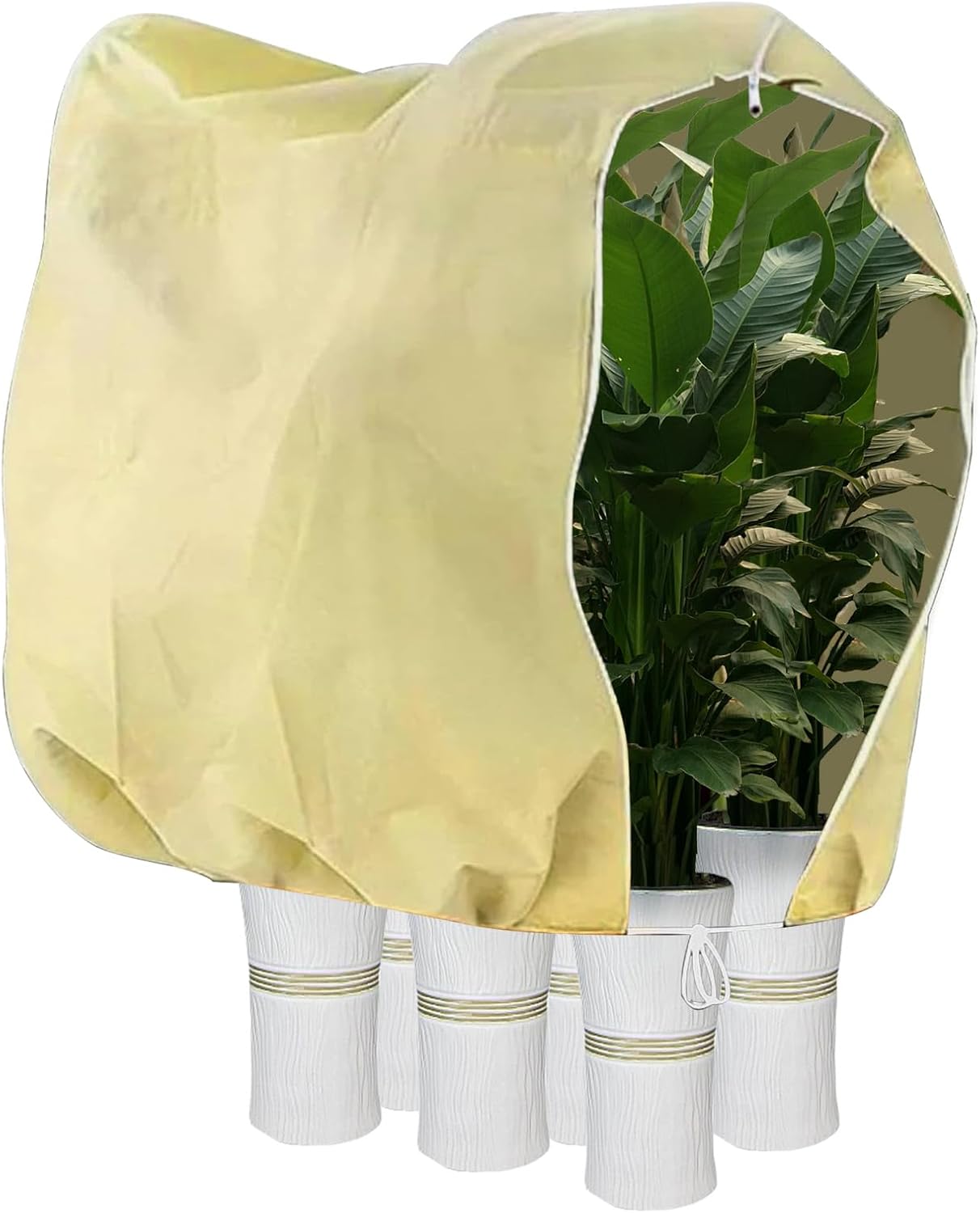 Housse Hivernage Plants 200x240 Cm Housses De Protection Contre Le Gel Mit Fermeure Eclair Cordon De Serrage Couverture Végétale Protection Plante