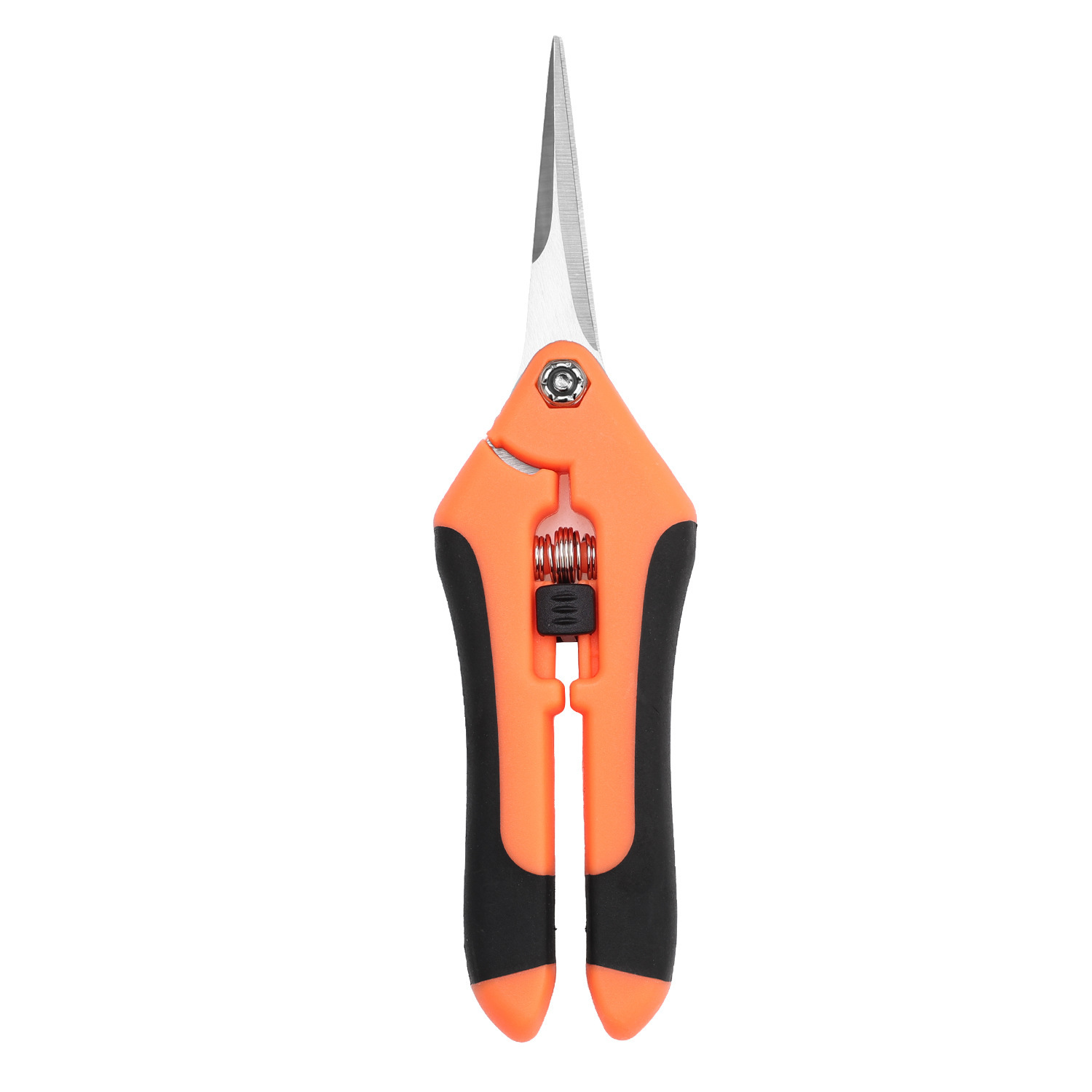 Lose Mit 2 Stücken Jardin, 16,5 Cm Pflanzungen, Coupelles Mit Avec Lames Droites Und Finesse In Säureunlöslichen Gläsern, Pflanzen