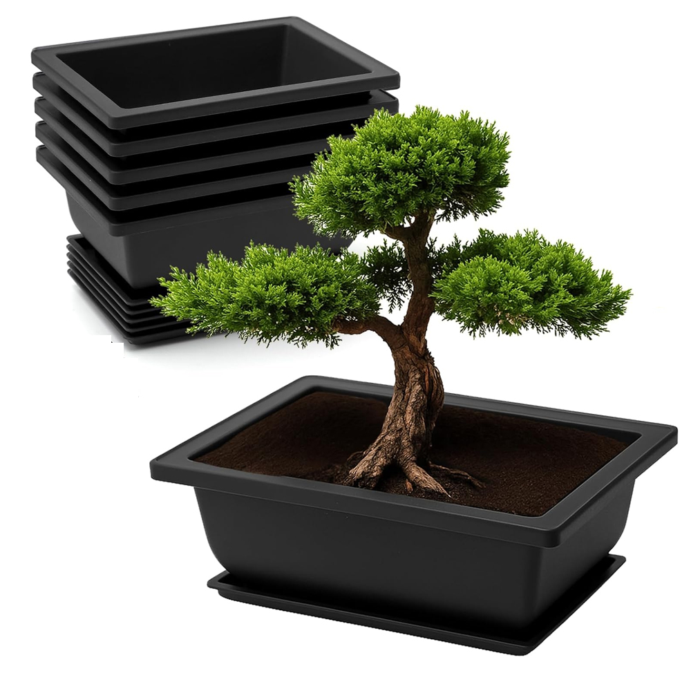 (6 Stück) Pot À Bonsaï Avec Plateaux And Ensemble D'Outils De Jardinage, 16× 12 × 6 Cm Petit Pot De Fleur Plastique, Wiederverwendbar Für Den Garten