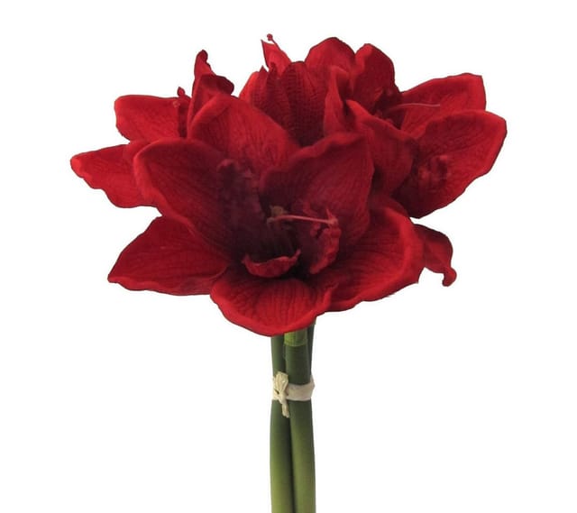Kunstblumen Amaryllis Ritterstern Rot 32 Cm 3er Bund - Kunststoff