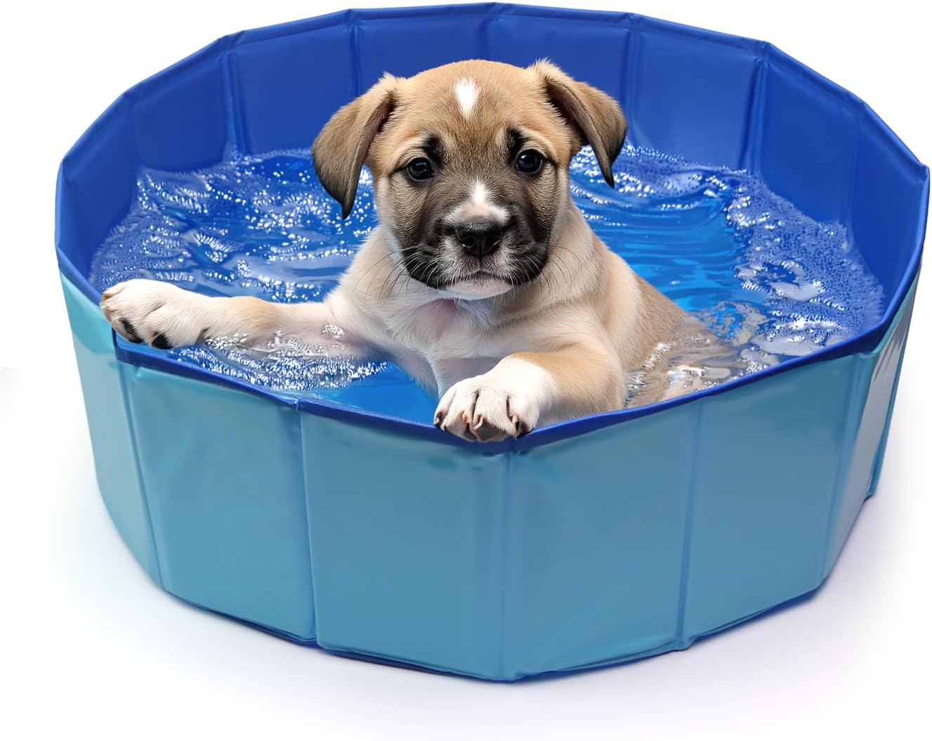Piscine Pour Chien Rond, 60 X 20 Cm